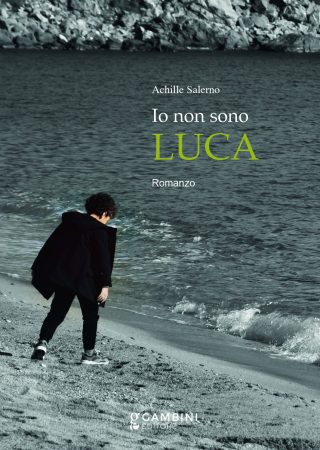 Io non sono Luca. Romanzo